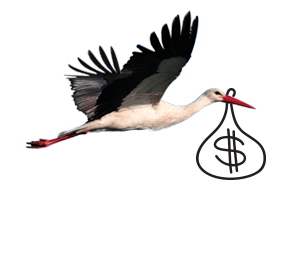 136-07-005-IFL_articles_birdsandbills_Tile